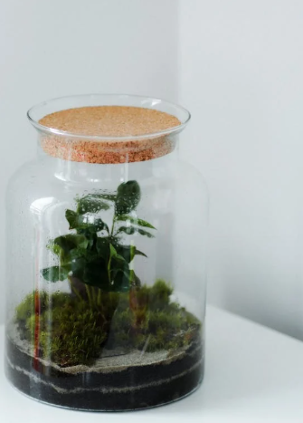 微生物菌肥 、腐殖酸有机肥、水溶肥、土壤改良剂